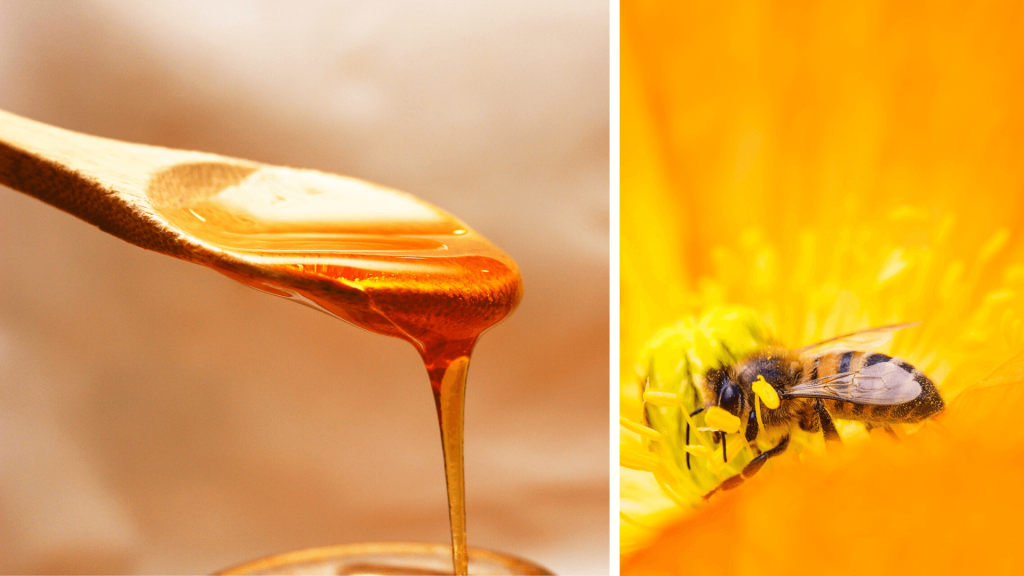🍯 le Miel Non Pasteurisé: Un trésor nutritionnel –